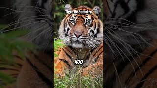 Animals That Will Disappear In 2026 Forever 