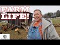 A day in the life of a small farm