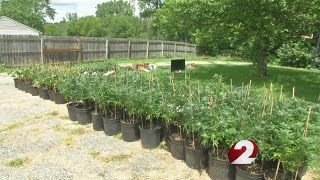 Mexican cartel impacting local drug trade