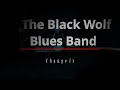 The black wolf blues band  change it