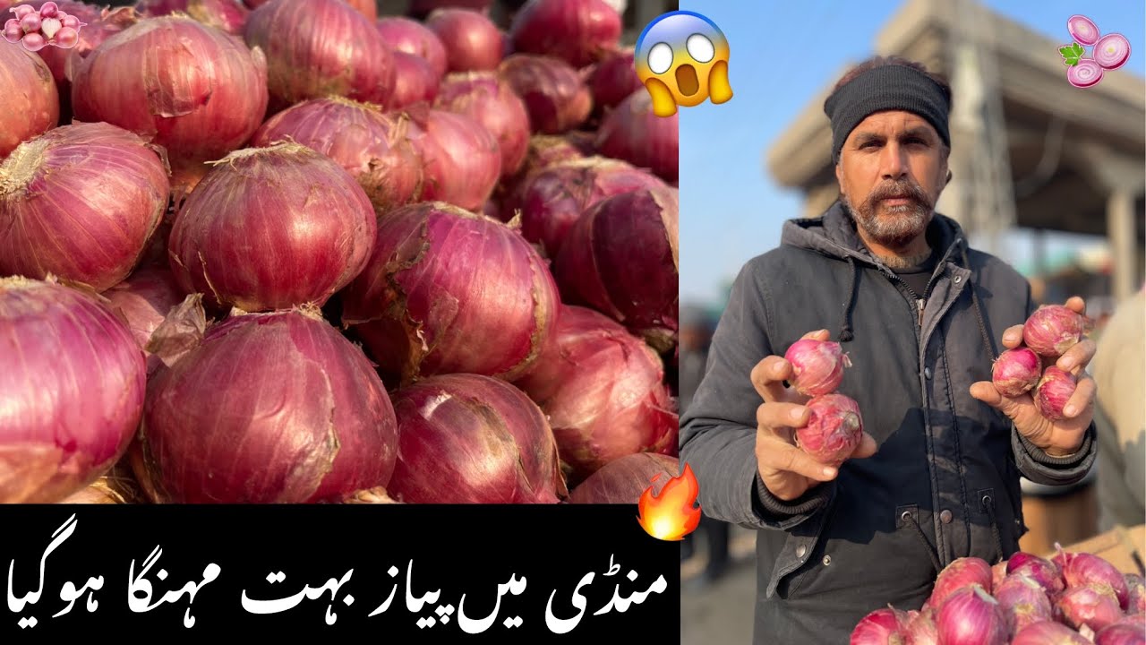 Bahawalpur Sabzi Mandi Mein Piaz Bohot Mehenga Ho Gaya🔥