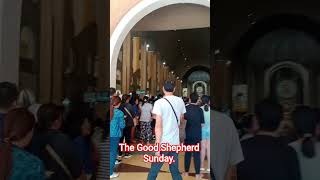 The Good Shepherd Sunday Mass. #catholic #religion #sunday #faithingod #thankyoulord