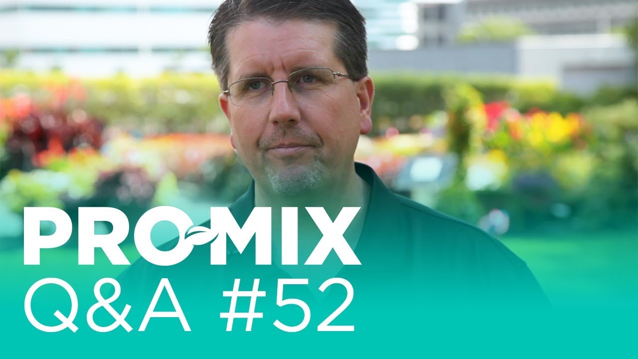 How do cold temperatures affect plants?