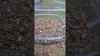 Кормушка для птиц и правильный корм 🐦🐦🐦