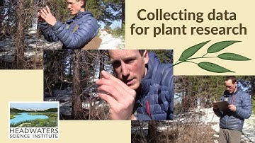 Phenology series episode 3: Data Collection