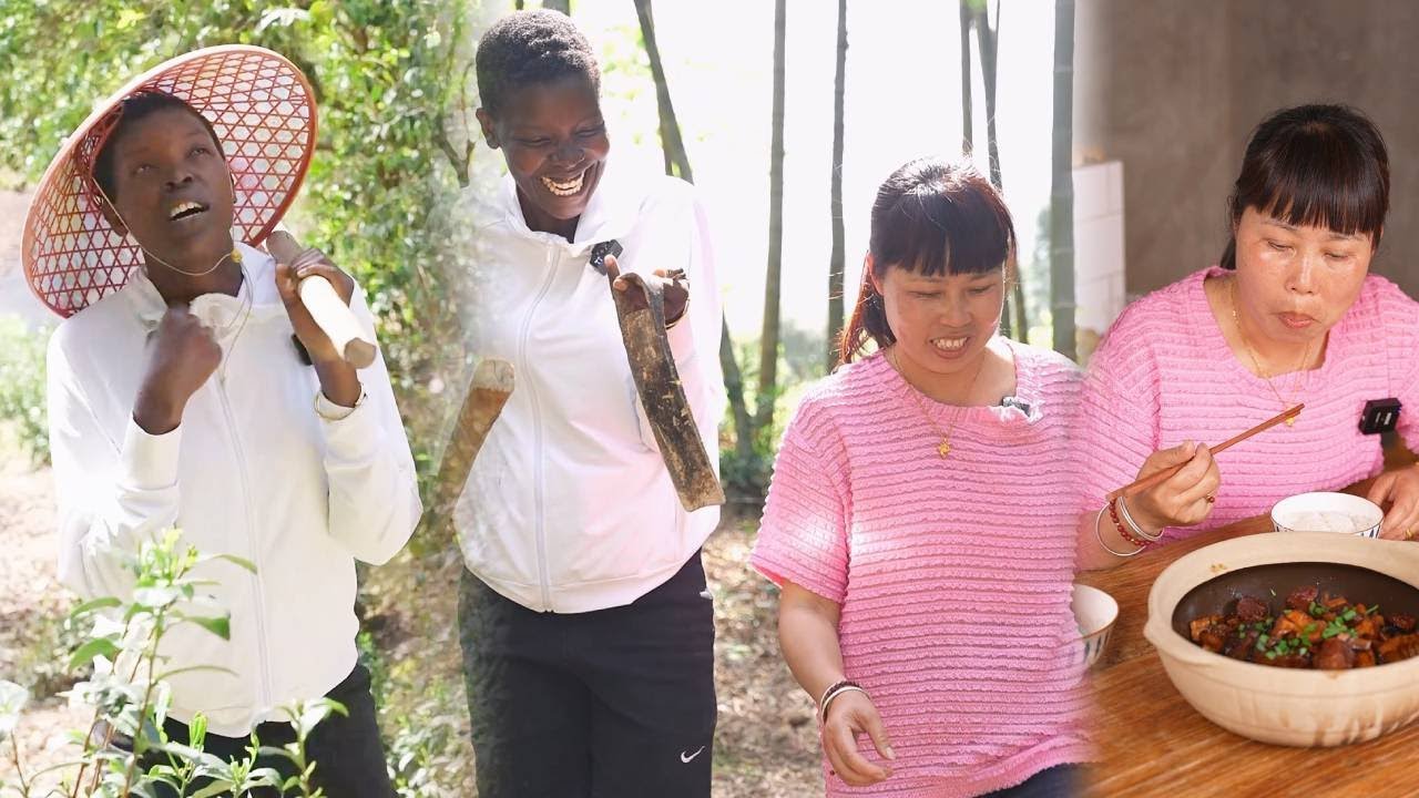 Сегодня выкопали много бамбуковых побегов для готовки, даже сломали мотыгу!