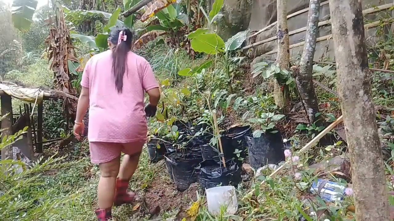 Happy Sunday morning 🌄🌄 mga kalingap 🙏💪