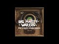 Bob marley  the wailers  wail n soulm singles selecta