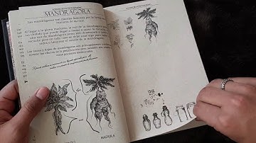 Advanced Potion-Making