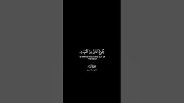 فسبحان الله حين تمسون وحين تصبحون شاشة سوداء | كرومات قرآن كريم بصوت #عبدالله_الموسى |#سورة_الروم