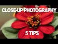 5 CLOSE-UP PHOTOGRAPHY TIPS