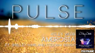 Wiley Webb feat. Shelley Harland - Ambrosia (Tidlwav Remix) Resimi