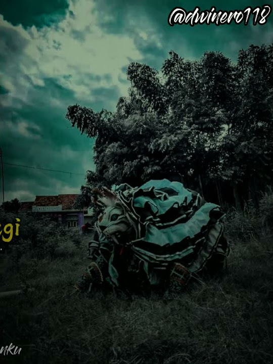 story wa jaranan Banyuwangi 30 detik versi lagu impen impenen