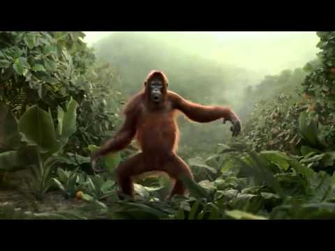 Video: Hvad er en abe musikfil?