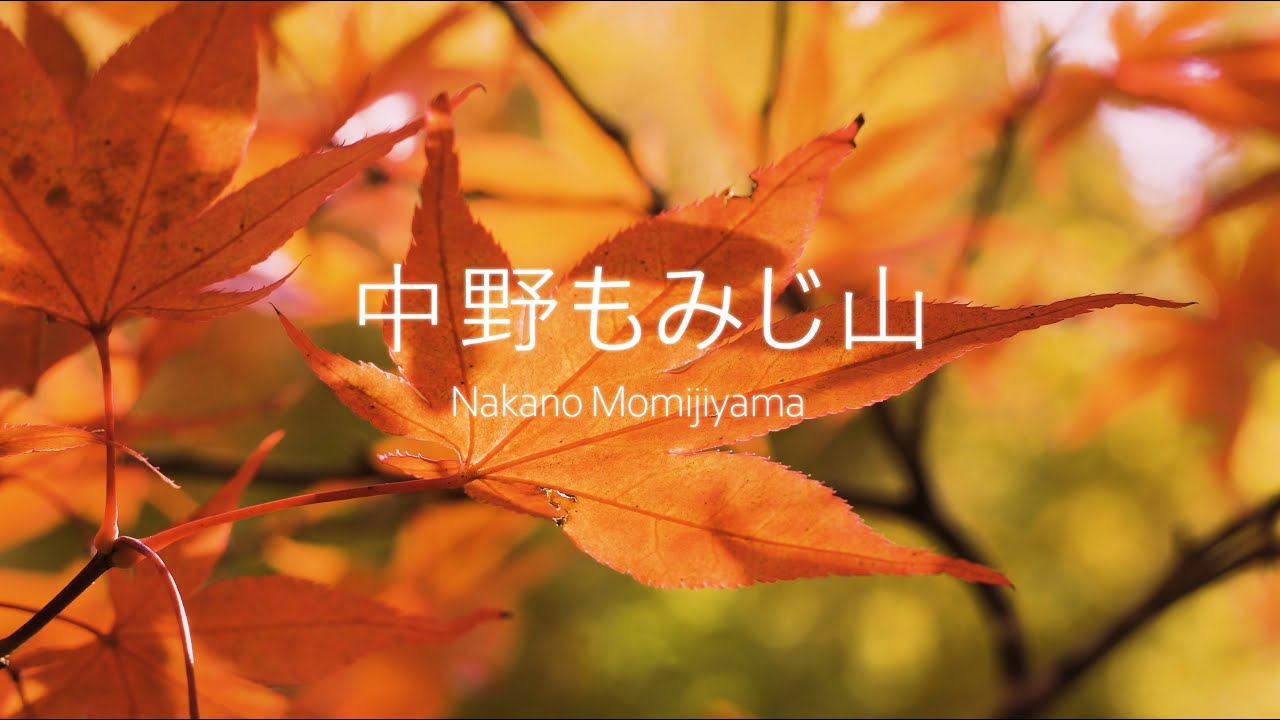 中野もみじ山 2021 Nakano Momijiyama - YouTube