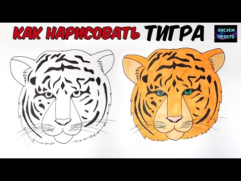 Video: Hur man ritar en tiger för nyåret 2022 i etapper