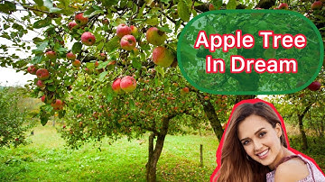 She Dream about Apple Tree what happens in reality even if u watch on CNN u can’t believe it’s free