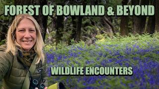 Forest of Bowland & Beyond | Wildlife Encounters in Northern England