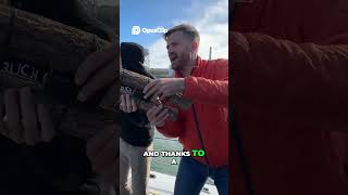 Alcatraz Escape Did Frank Morris Survive#viral #parati #fyp #tiktokviral #trend #explore