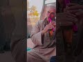 تحت الجميزه جلسه العصاري