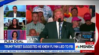 Professor Joyce Vance Appears on MSNBC Net Worth