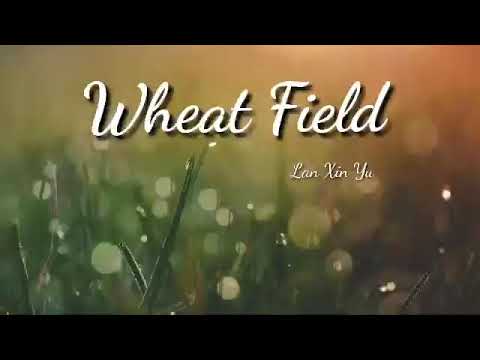 OST  Girlfriend 2,019 - Wheat Field by Lan Xin Yu