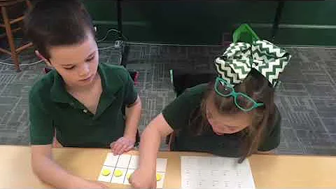 Video 8