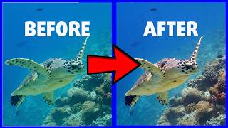 Perfect UNDERWATER COLORS with every camera | Quick Tip #2 screenshot 4