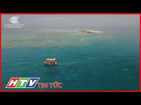 Video: 8 Chuyến tham quan Rạn san hô Great Barrier Tốt nhất năm 2022