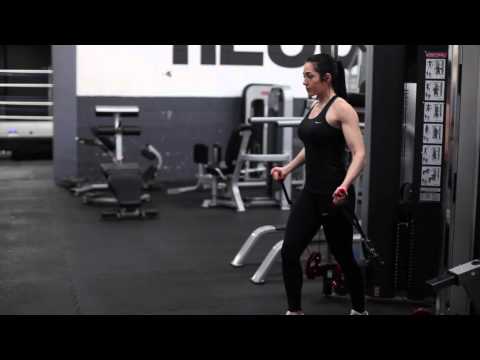 My PT Hub Exercise Library - Low Cable Flyes