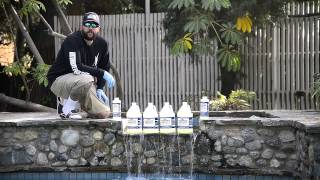 How to Remove Phosphates & Clarify Your Pool Water!