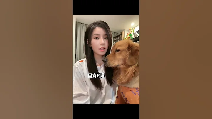 喜歡看傻狗？喜歡看畫？還是喜歡看我？回答我！聾啞 - 天天要聞