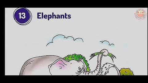 Class 3rd | Real English | Chapter 13 | Elephants| with Comprehension