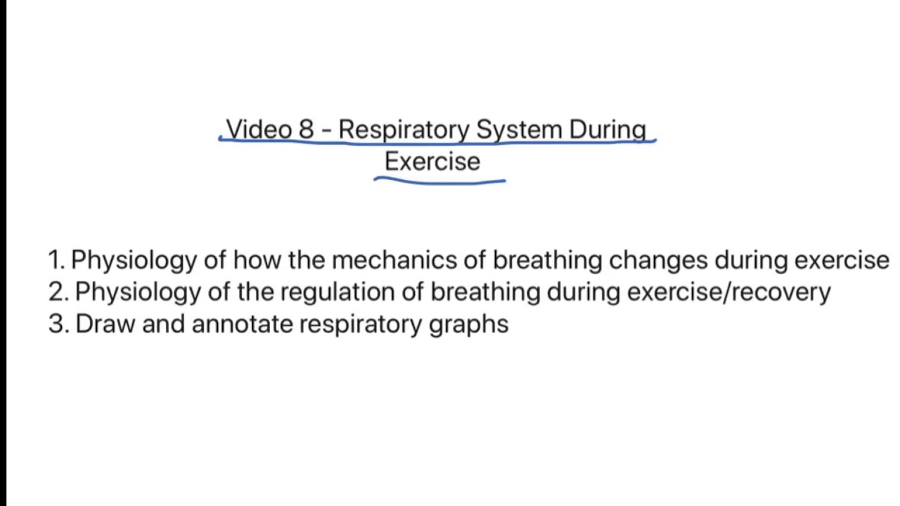 ocr-a-level-pe-respiratory-system-during-exercise-youtube