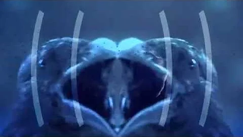 ((ASA)) - Crow