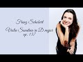 F. Schubert - Violin Sonatina in D major op. 137