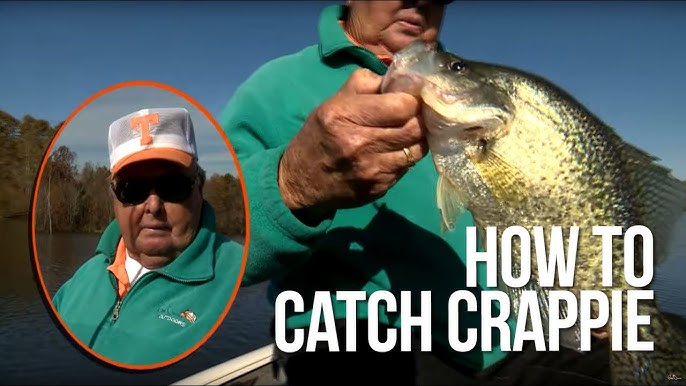 6 Tips for Successful Crappie Fishing 