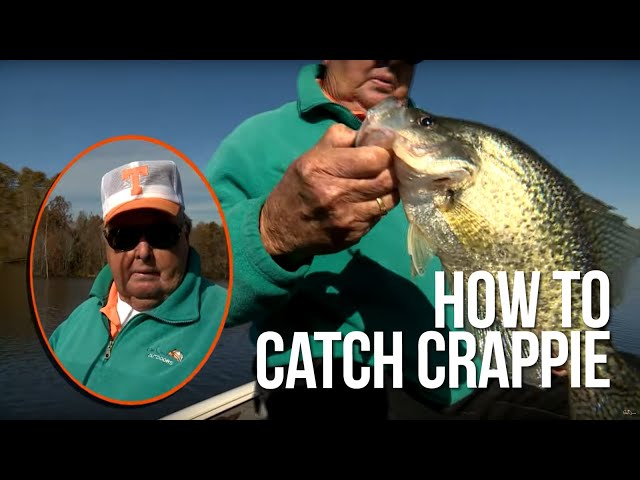 Watch How to Catch Crappie on YouTube.