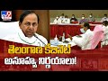 Telangana Cabinet takes some key decisions