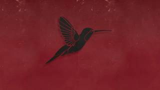 Tom Morello - Date Night
