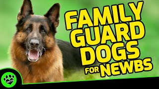 Top 5 Family Guard Dogs for FirstTime Owners: How to Choose a Family Guard Dog