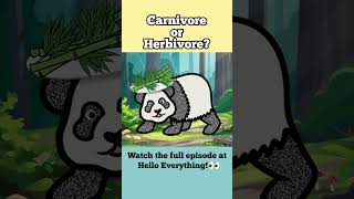 Is Panda Carnivore or Herbivore? | Learn what Wild Animals Eat #art #animals #animation