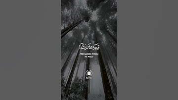 والله يدعو إلى دار السلام ويهدي من يشاء إلى صراط مستقيم | سورة يونس | القارئ رعد الكردي