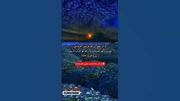 تلاوة خاشعة للشيخ ياسر الدوسري حفظه الله #ياسر_الدوسري #قرآن #قران_كريم