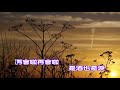 莉莉 是酒也是淚 莉莉 是酒也是淚