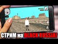 СТРИМ на BLACK RUSSIA - МП, СХОДКИ, КОНКУРСЫ , crmp mobile