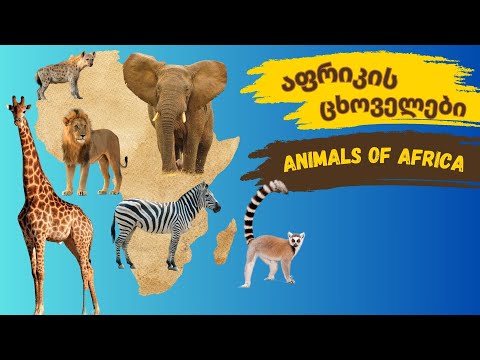 აფრიკის ცხოველები - African Animals