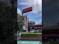 #vlog ＃不登校小学生 ＃ロイヤルホスト