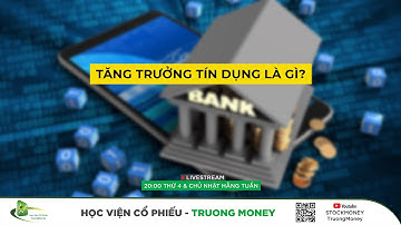 TĂNG TRƯỞNG TÍN DỤNG LÀ GÌ? | STOCKMONEY Truongmoney