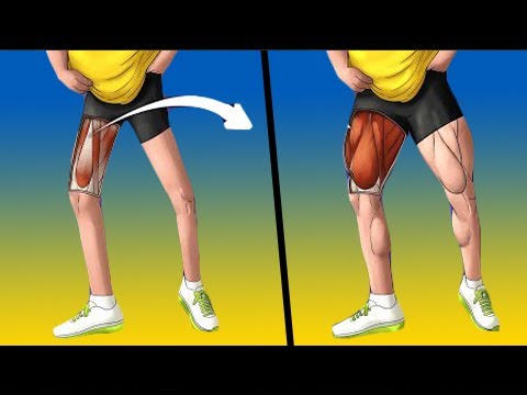 7 Эффективных Упражнений для Более Сильных и Мощных Мышц Ног